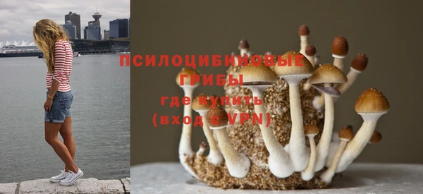 spice Красноперекопск