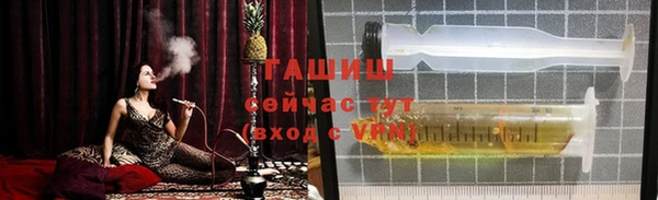 шишки Коряжма