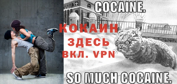 шишки Коряжма