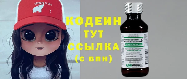 индика Корсаков