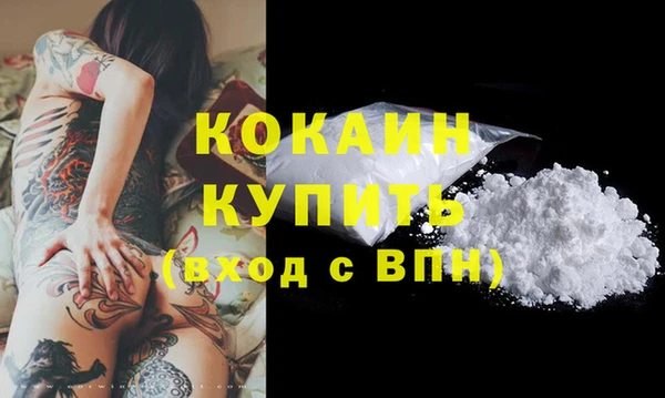 шишки Коряжма
