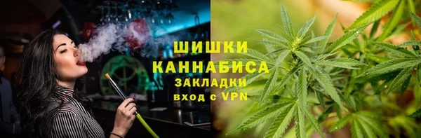 индика Корсаков