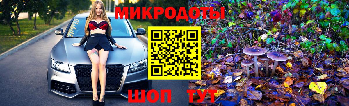 Галлюциногенные грибы Cubensis  Вход с VPN  продажа наркотиков  Псилоцибиновые грибы MAGIC MUSHROOMS  Кинешма 
