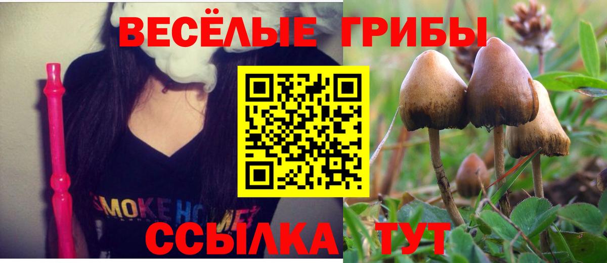 Псилоцибиновые грибы MAGIC MUSHROOMS Кинешма