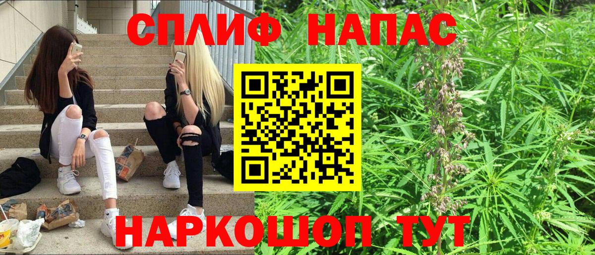 Бошки Шишки ГИДРОПОН Кинешма